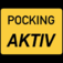 (c) Pocking-aktiv.de